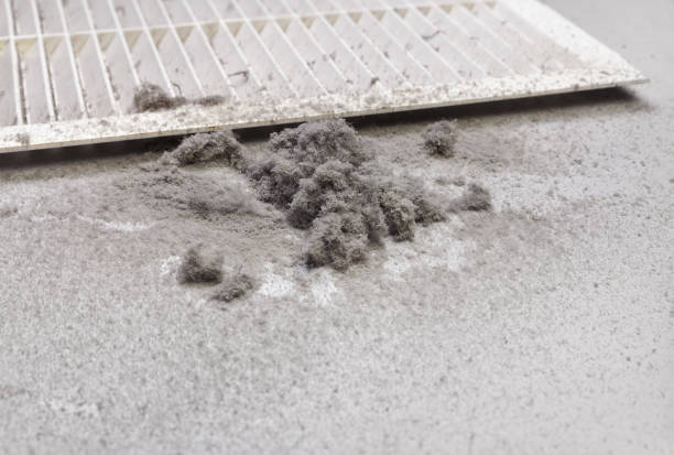 Best HVAC Air Duct Cleaning  in Mendota, CA